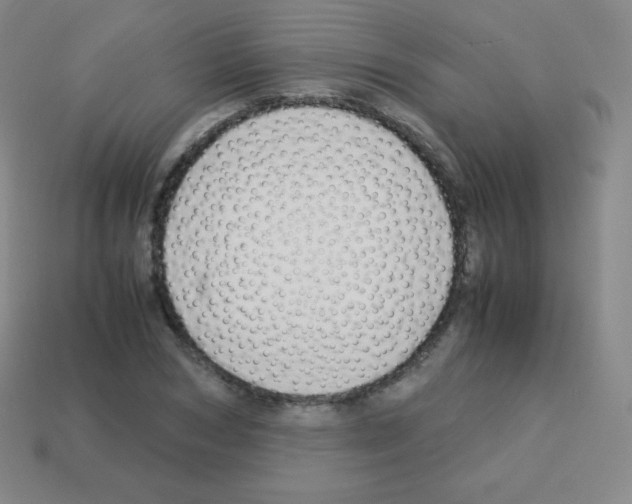 X0000113040978200910081207