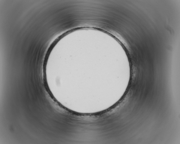 X0000113040980200910081207