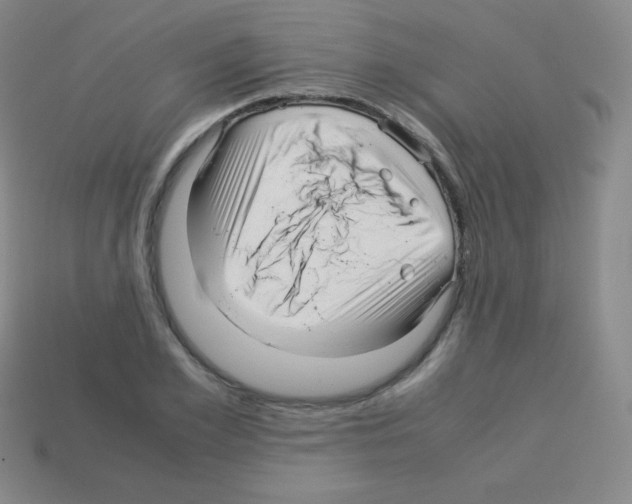 X0000113040981200910081207