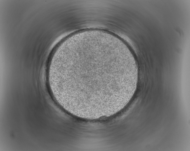 X0000113040983200910081207