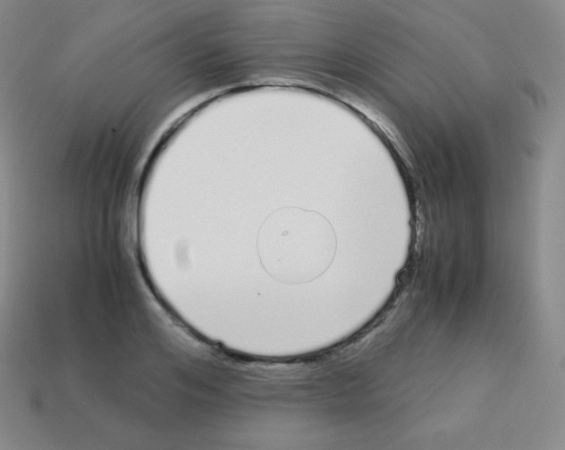 X0000113040984200910081207