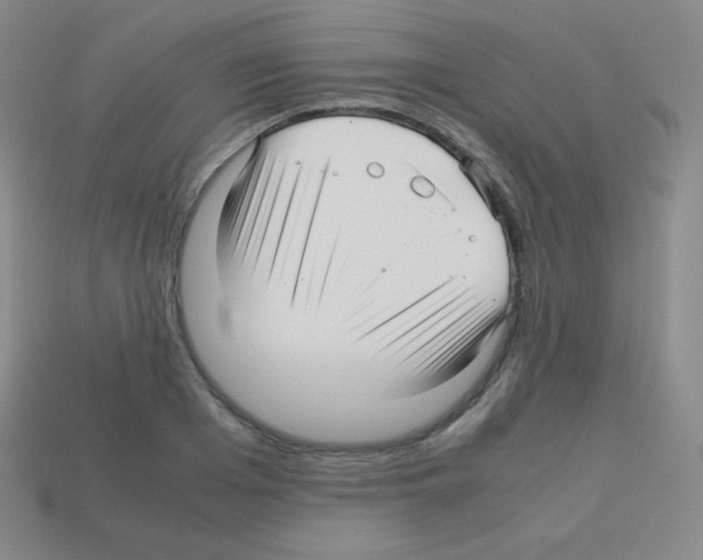 X0000113040985200910081207