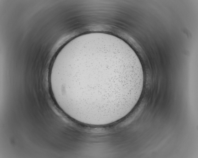 X0000113040986200910081207