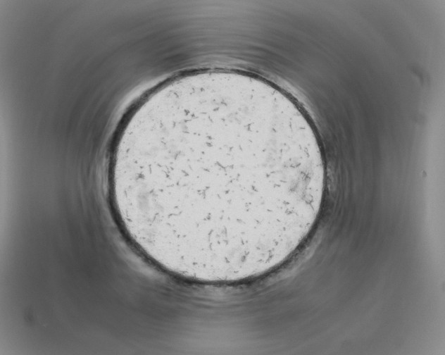 X0000113040987200910081207
