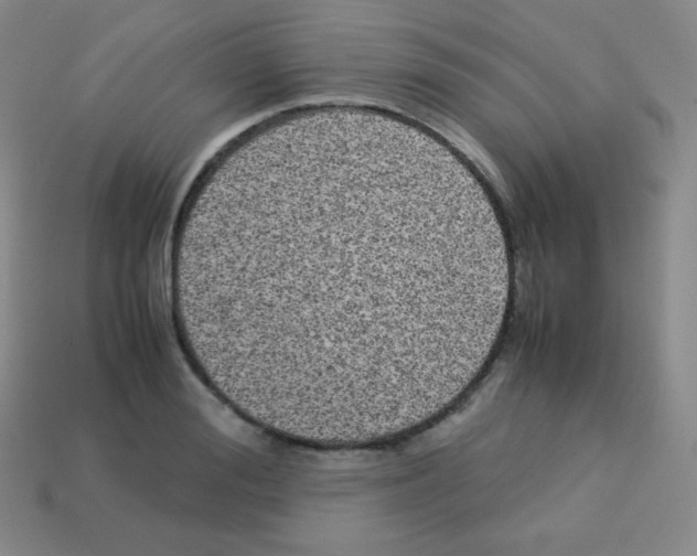X0000113040988200910081207