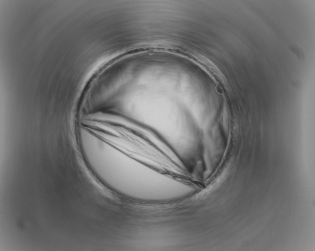 X0000113040989200910081207