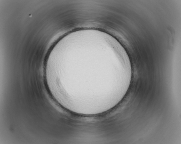 X0000113040990200910081207