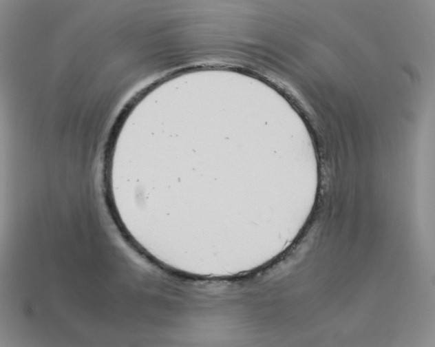 X0000113040991200910081207