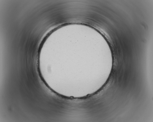 X0000113040992200910081207