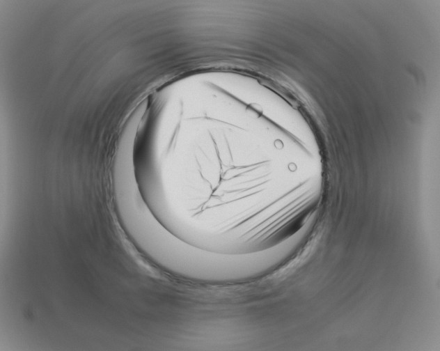 X0000113040993200910081207