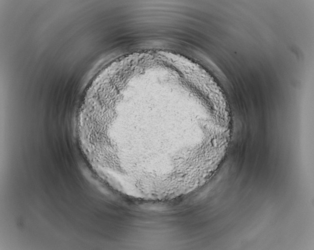 X0000113040994200910081207