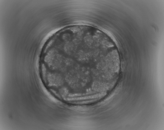 X0000113040995200910081207