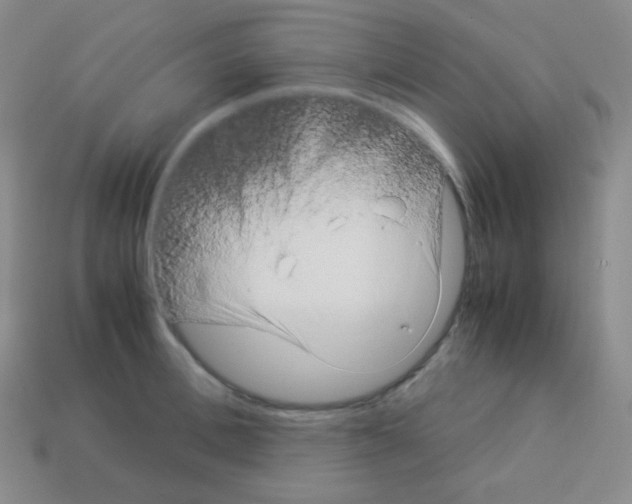 X0000113040996200910081207