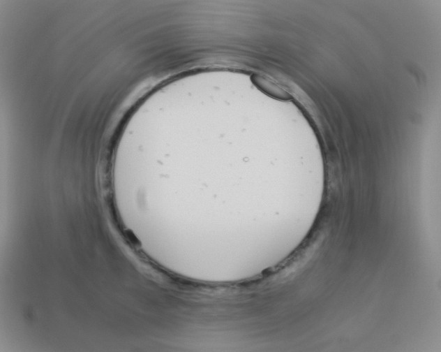 X0000113040997200910081207