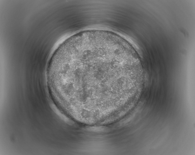 X0000113040998200910081207