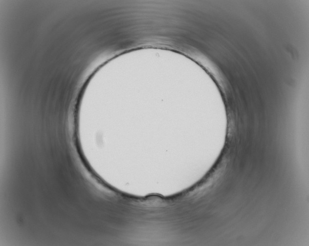 X0000113040999200910081207