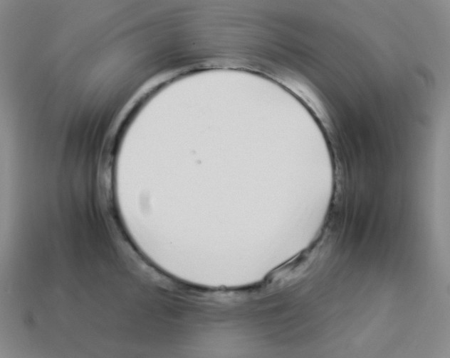 X0000113041000200910081207