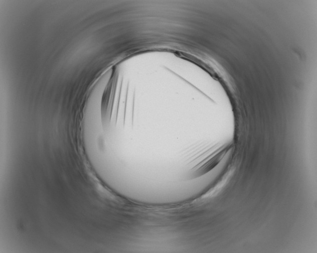 X0000113041001200910081207
