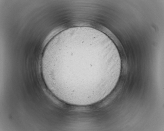 X0000113041002200910081207