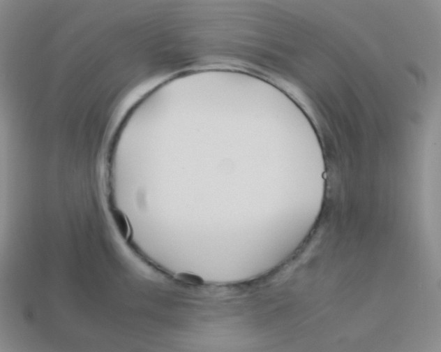X0000113041003200910081207