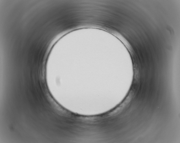 X0000113041004200910081207