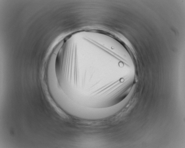 X0000113041005200910081207