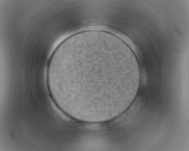 X0000113041006200910081207