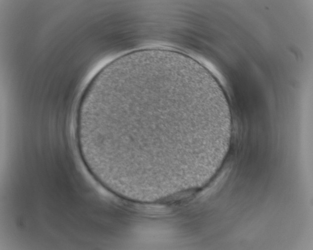 X0000113041007200910081207