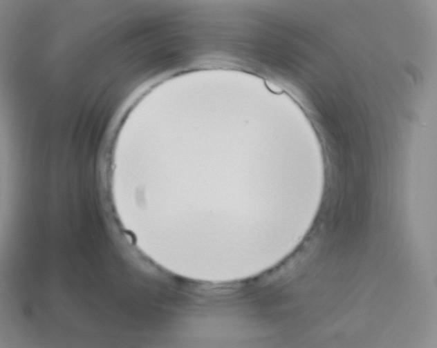 X0000113041008200910081207
