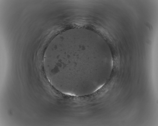 X0000113041009200910081206