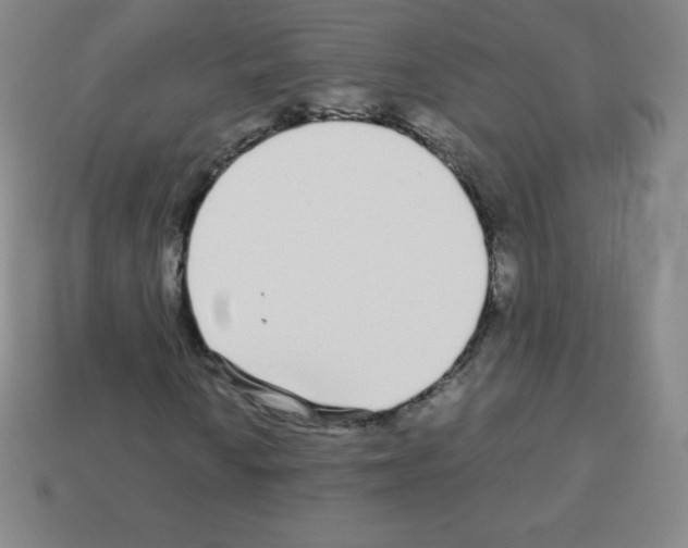 X0000113041010200910081206