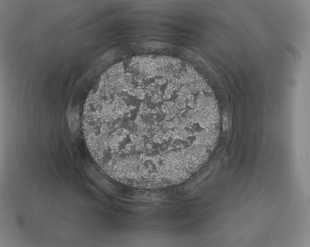 X0000113041011200910081206