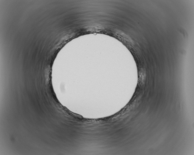 X0000113041012200910081206
