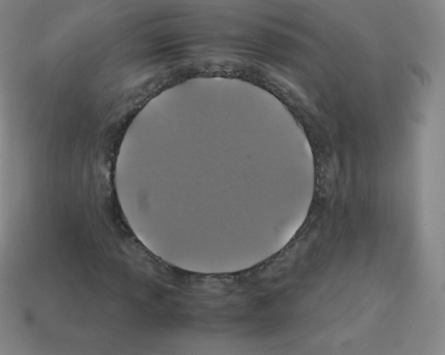 X0000113041013200910081206