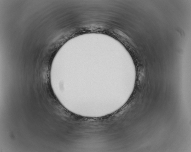 X0000113041014200910081206
