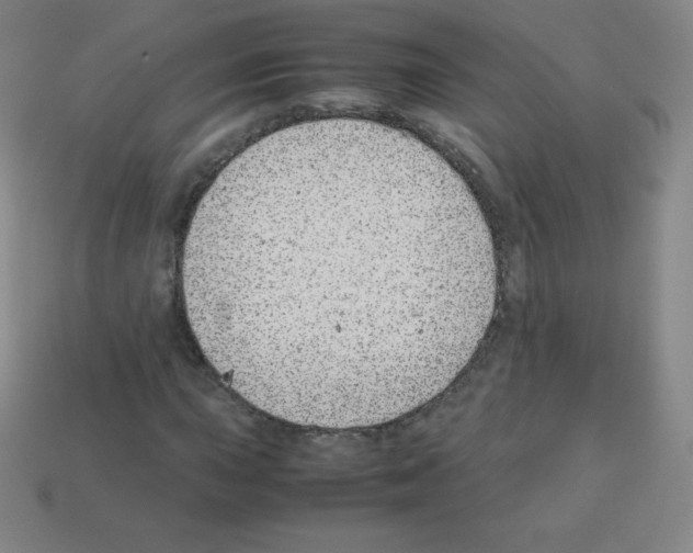 X0000113041015200910081206
