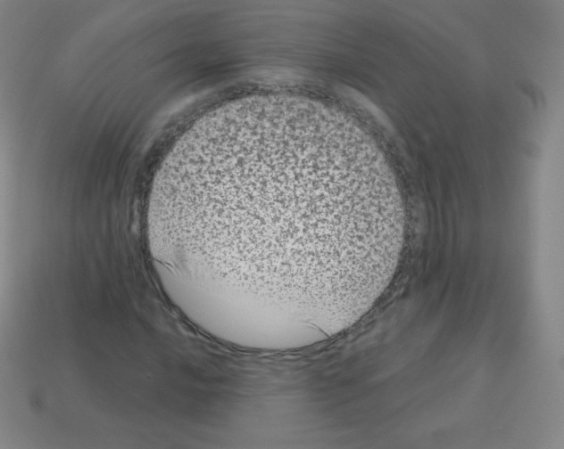 X0000113041016200910081206