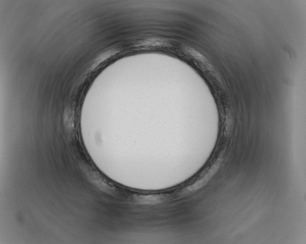 X0000113041017200910081206