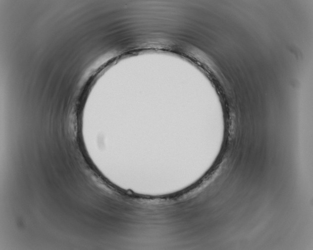X0000113041018200910081206