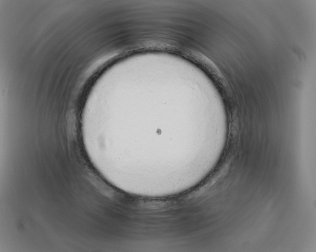 X0000113041019200910081206