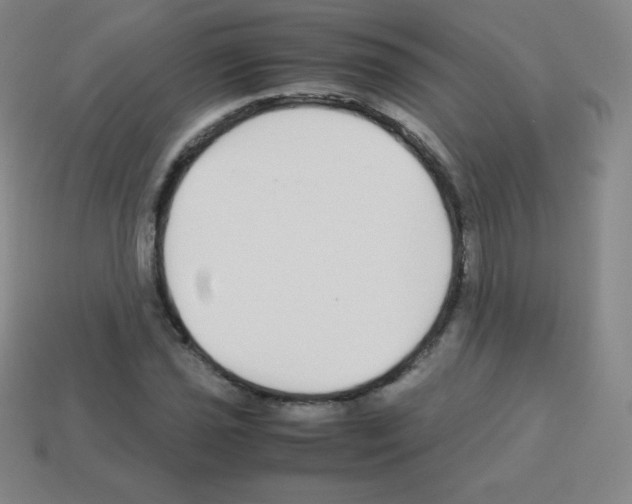 X0000113041021200910081206