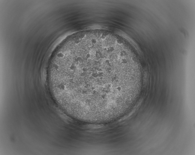 X0000113041023200910081206