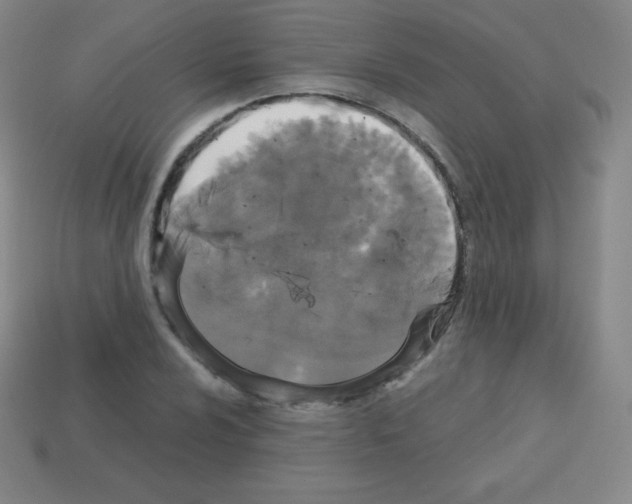 X0000113041024200910081206