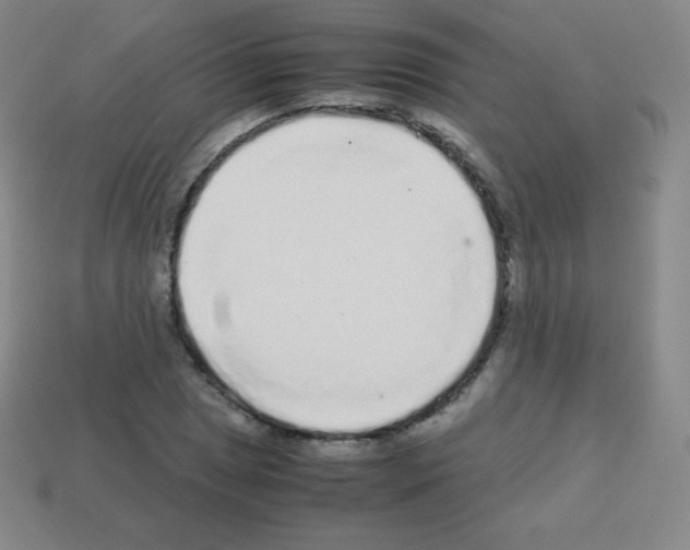 X0000113041025200910081206