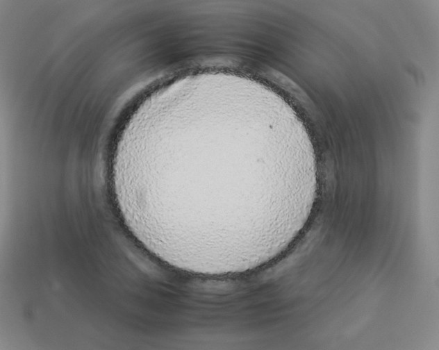 X0000113041027200910081207