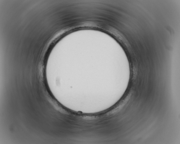 X0000113041029200910081207