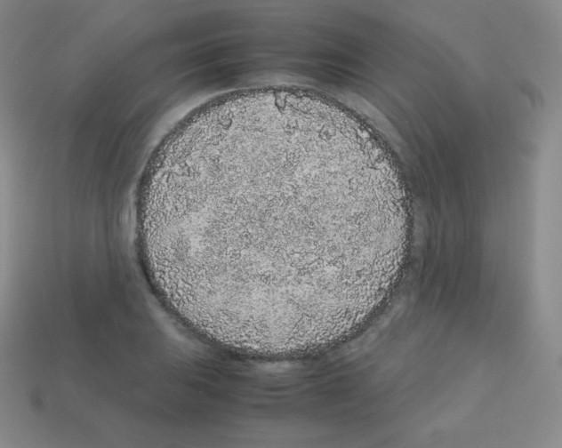 X0000113041031200910081207