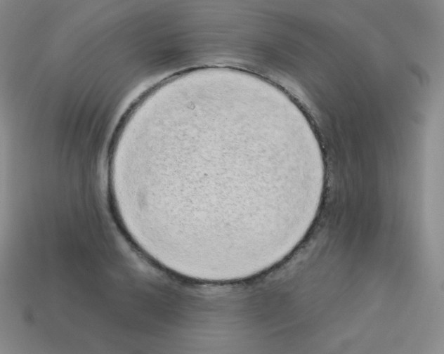 X0000113041032200910081207