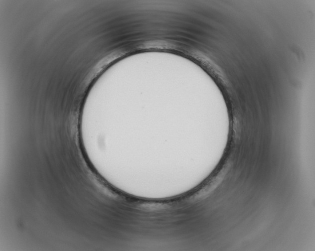 X0000113041033200910081207