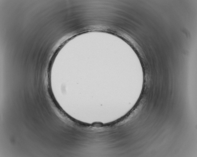 X0000113041034200910081207